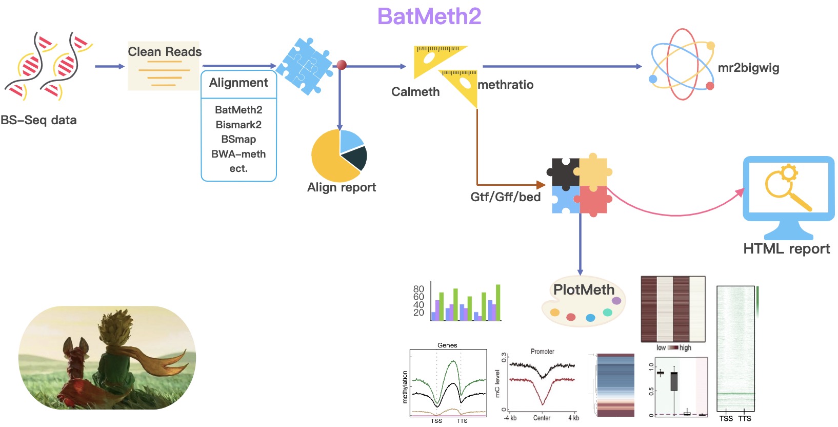 _images/BatMeth2-pipeline.jpg